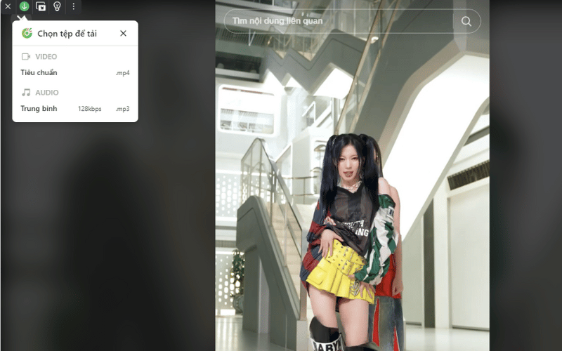 lua chon dinh dang file muon tai ve la audio