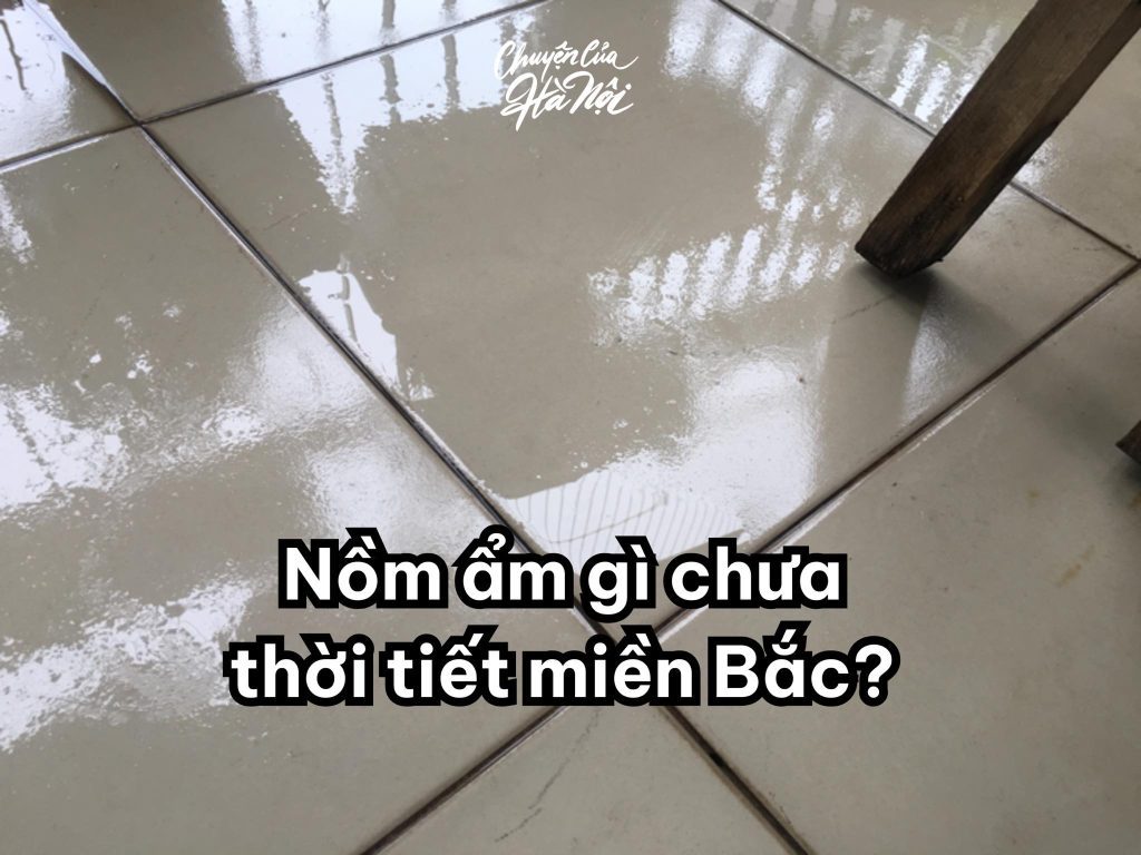 nồm ẩm gì chưa miền bắc