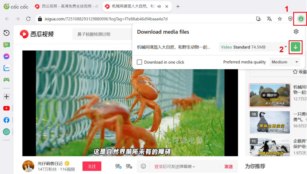 tải video ixigua không logo bằng cốc cốc tải video ixigua không logo bằng cốc cốc