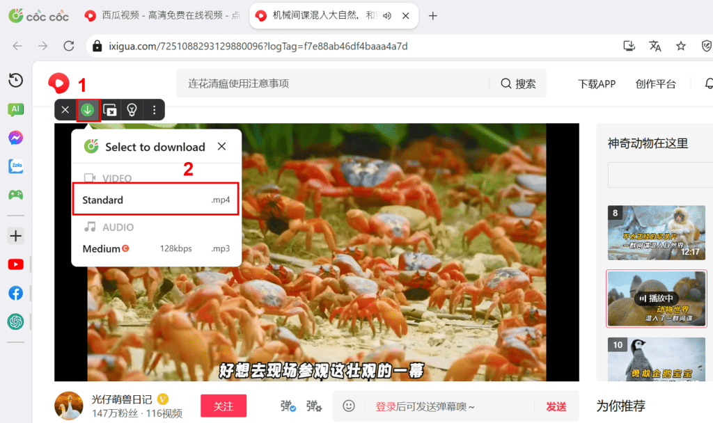 tải video ixigua trên máy tính tải video ixigua trên máy tính