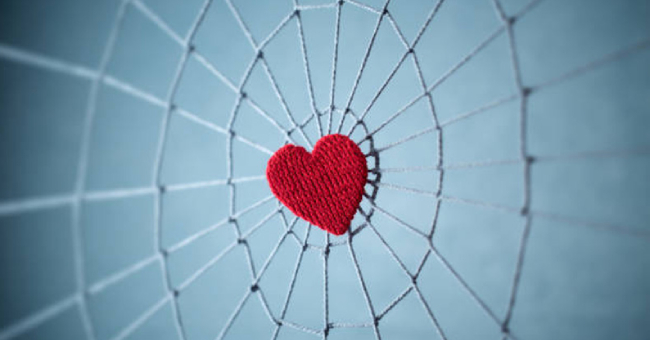 trap boy là gì trap boy là gì