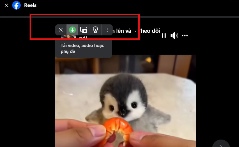 1-buoc-3-di-chuot-den-khu-vuc-trinh-phat-video buoc di chuot den khu vuc trinh phat video