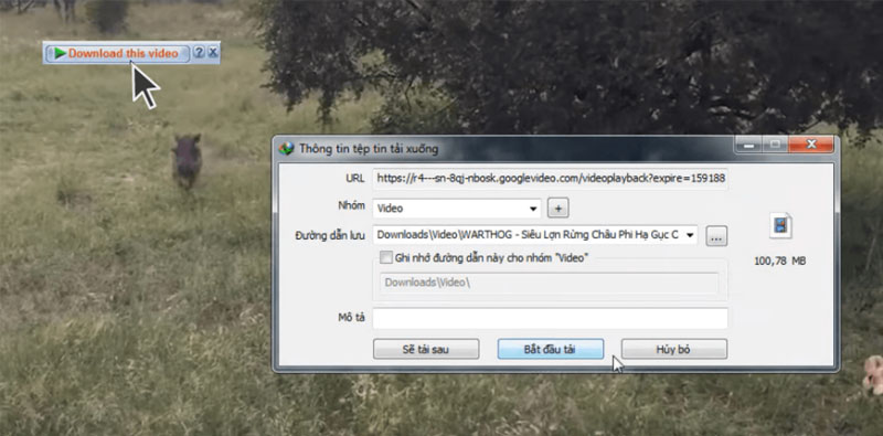 4-tai-video tai video