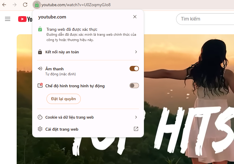 Cài đặt tự động ghim video YouTube