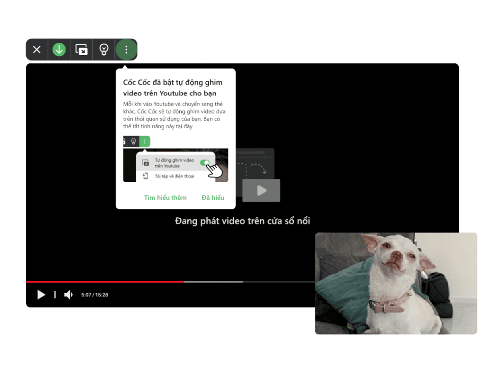 YouTube Auto PiP