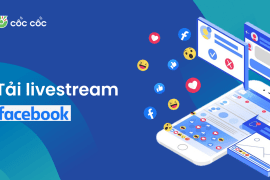 Cách tải video Livestream trên Facebook nhanh chóng, đơn giản cách tải video livestream trên facebook