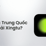 hypic trung quốc là gì