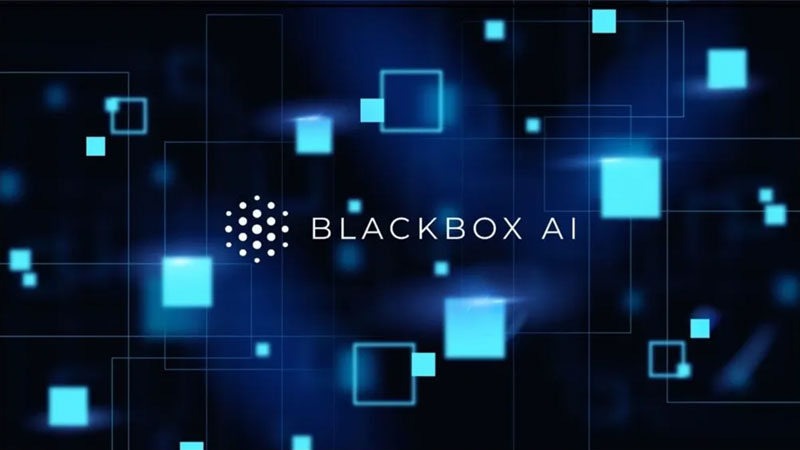 1-blackbox-ai-la-gi blackbox ai la gi