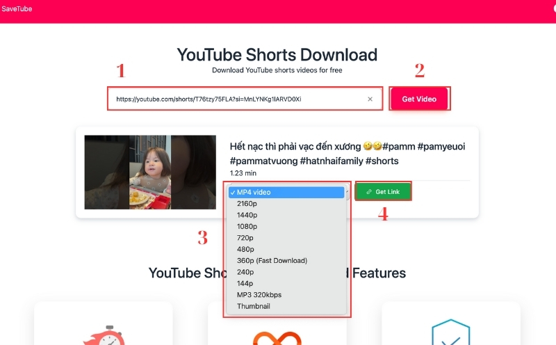 cach tai video youtube shorts qua yt savetube me