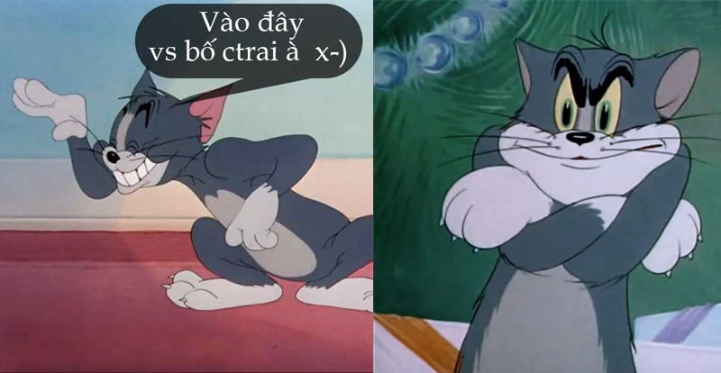 meme tom