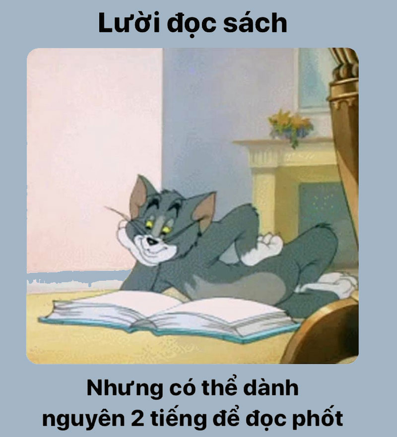 meme tom