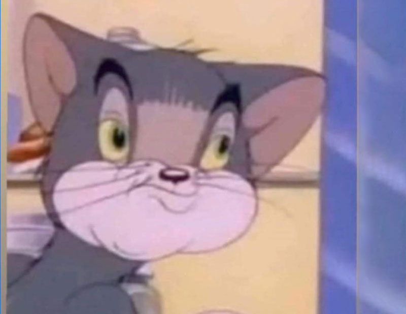 tom and jerry meme face