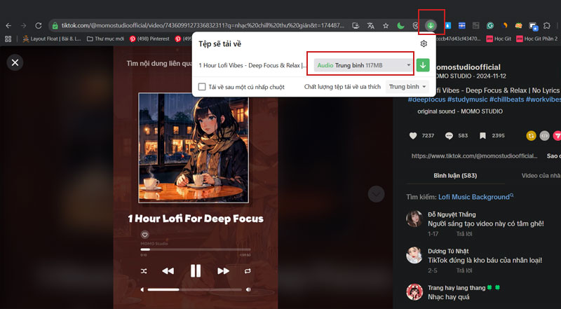 buoc khi hop thoai hien len chon dinh dang tai xuong la am thanh audio