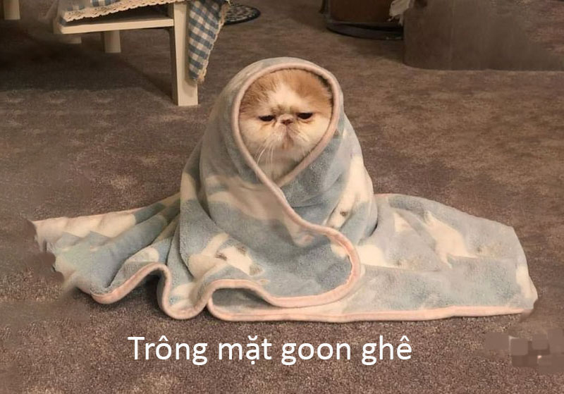 4-goon-co-phai-la-mot-tu-xau-khong- goon co phai la mot tu xau khong