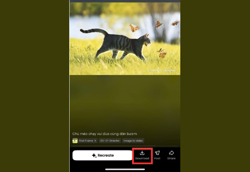5-huong-dan-su-dung-hailuo-ai-buoc6 huong dan su dung hailuo ai buoc