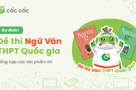 Tổng hợp tác phẩm và dự đoán đề thi Văn THPT Quốc Gia 2025 Du doan de thi Van THPT Quoc gia