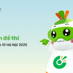 Dự đoán đề thi Văn vào Hà Nội năm