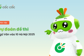 Dự đoán đề thi Văn vào 10 Hà Nội năm 2025 Dự đoán đề thi Văn vào Hà Nội năm