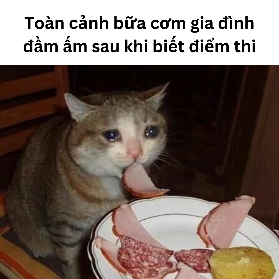 Meme khi biết điểm