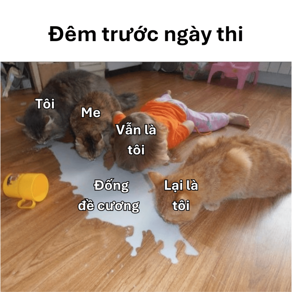 Meme ôn thi