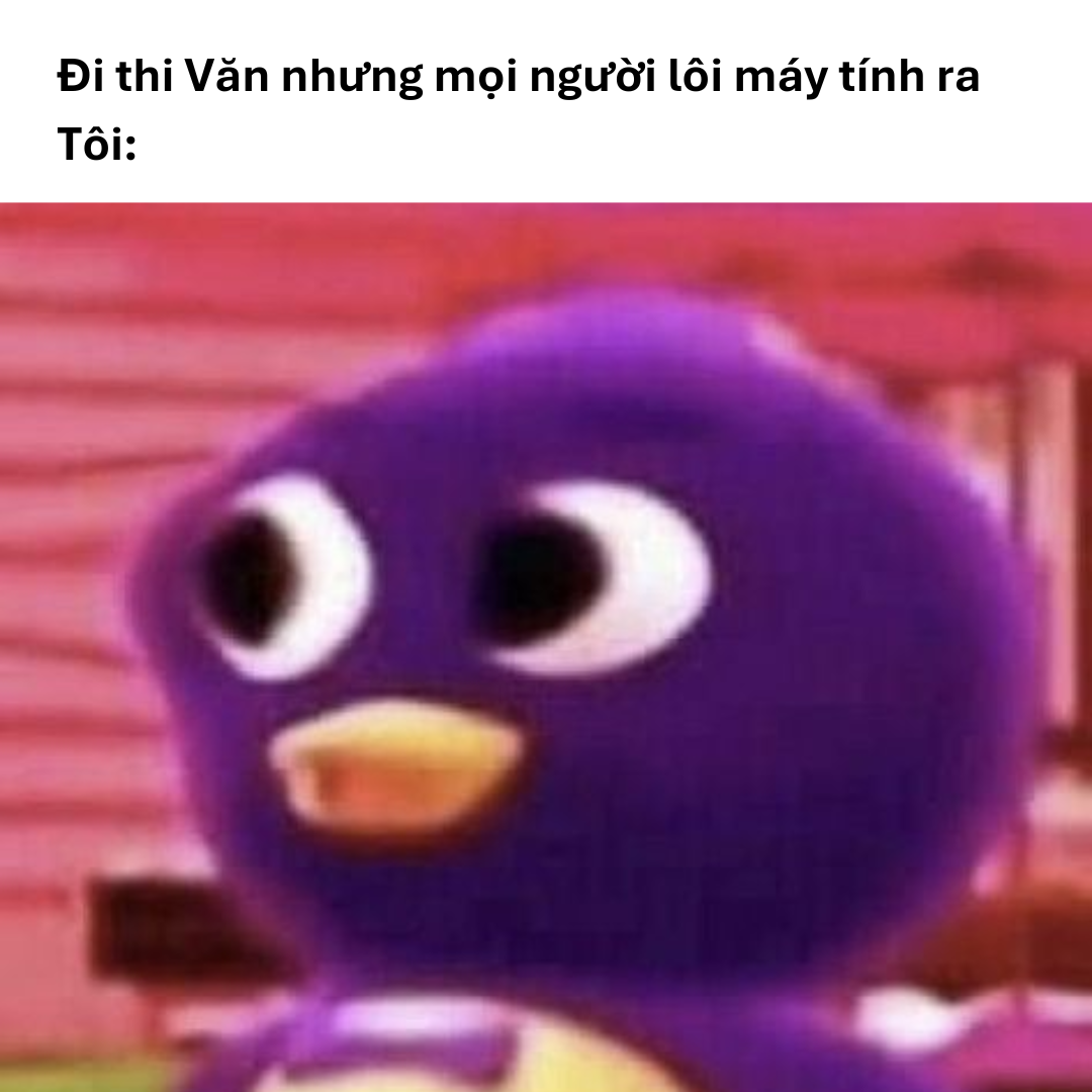 Meme thi cử