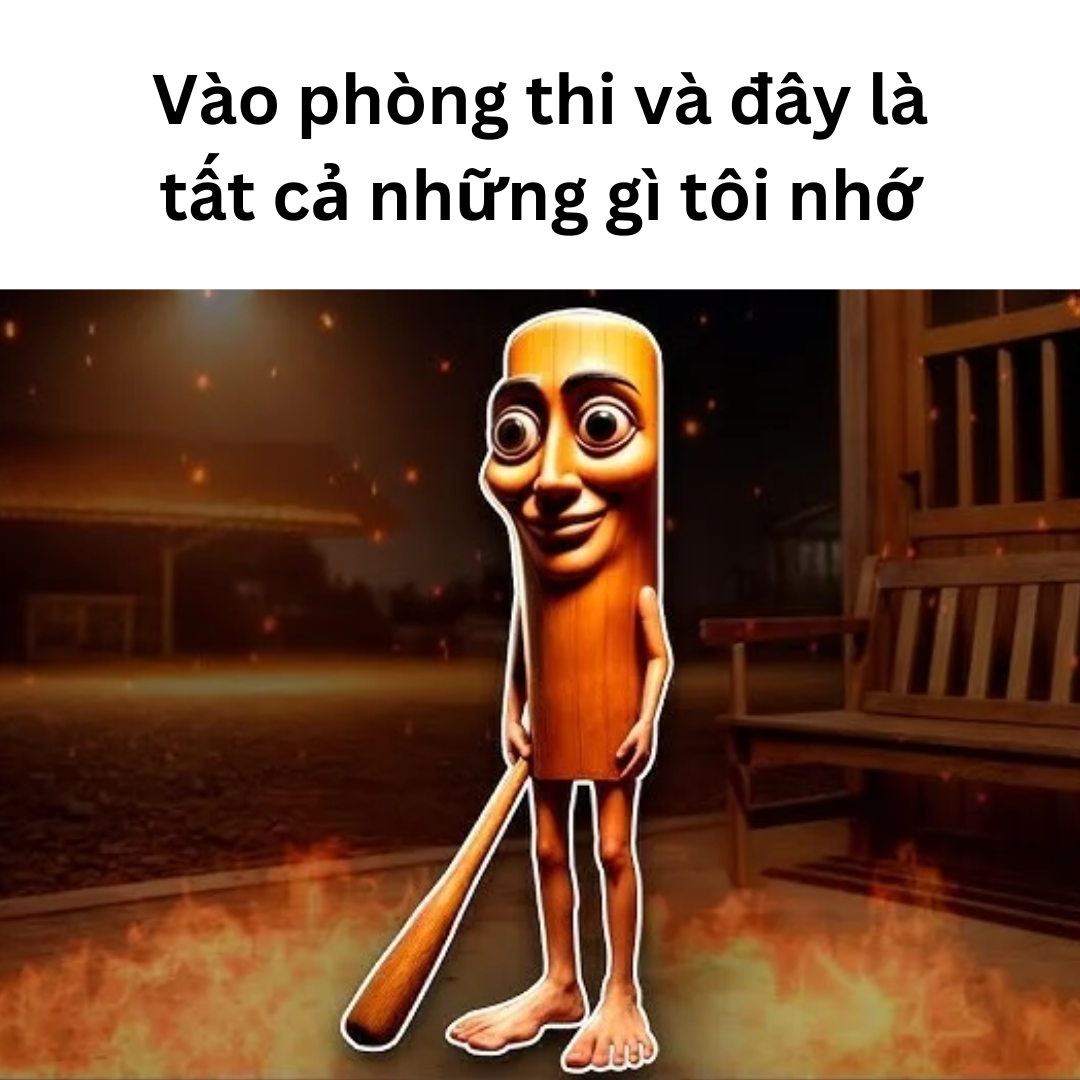 Meme thi cử