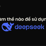 cách sử dụng deepseek