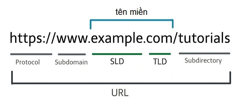 cau-truc-cua-mot-domain-la-gi cau truc cua mot domain la gi