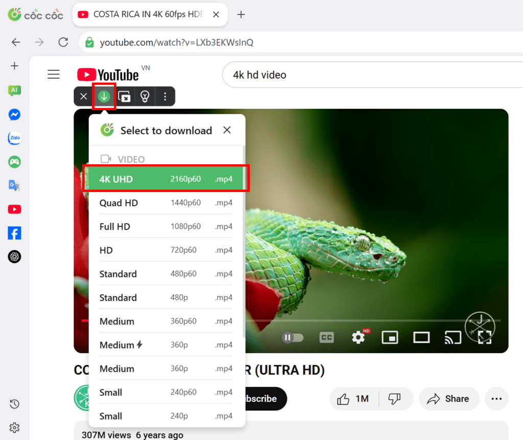 cốc cốc tải video youtube 4k hd cốc cốc tải video youtube k hd