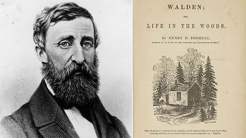 1-nguon-goc-cua-tu-brain-rot nguon goc cua tu brain rot