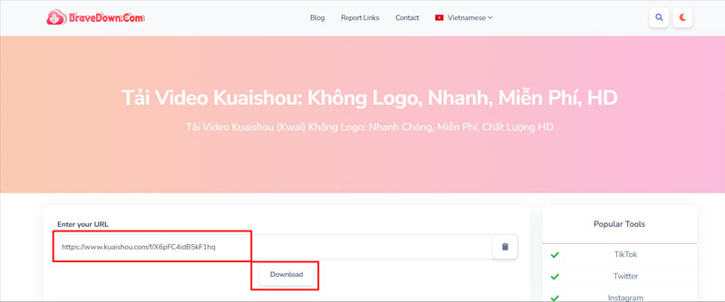 5-BraveDown BraveDown