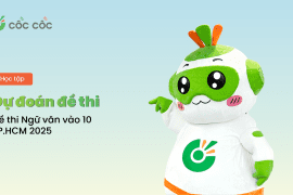 Dự đoán đề thi Văn vào 10 TPHCM năm 2025 Dự đoán đề thi Văn vào hồ chí minh năm ()