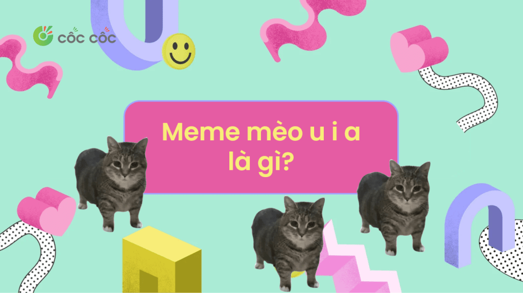 “u i a” cat là gì? Meme mèo “u i a” là gì trên TikTok? meme mèo u i a là gì