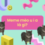 meme mèo u i a là gì