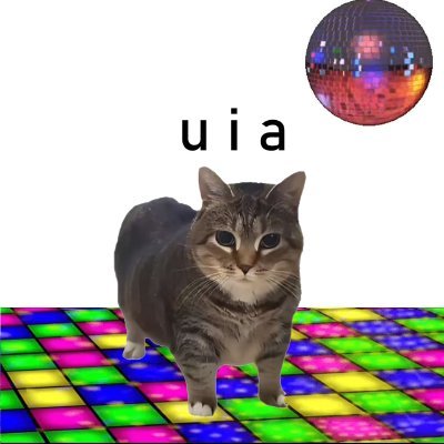 u i a cat nhảy disco