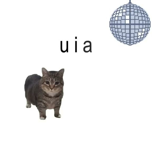 u i a cat nhảy