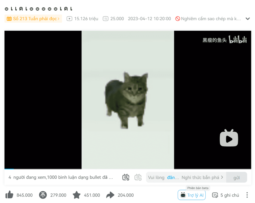 video gốc u i a meme mèo