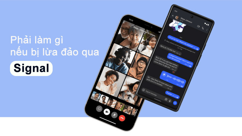 6-phai-lam-gi-neu-bi-lua-dao-qua-signal phai lam gi neu bi lua dao qua signal