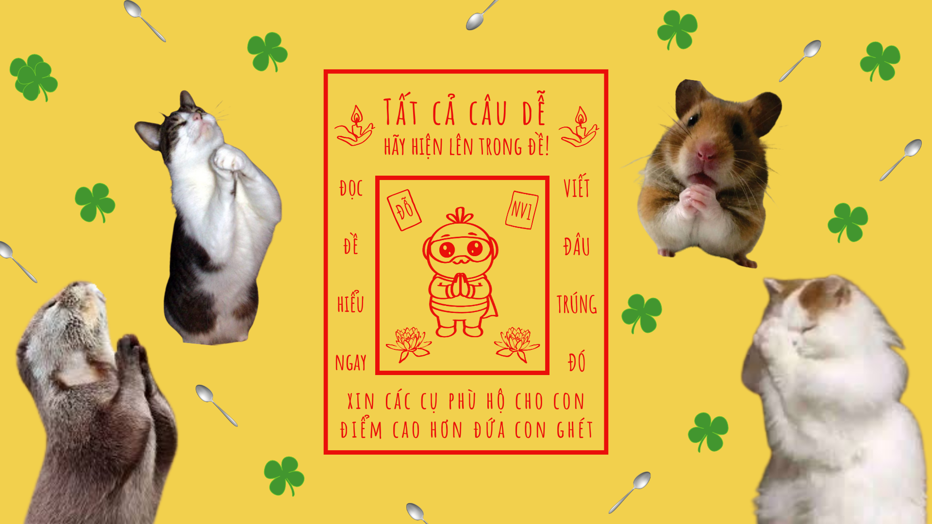 Hình nền manifest thi tốt