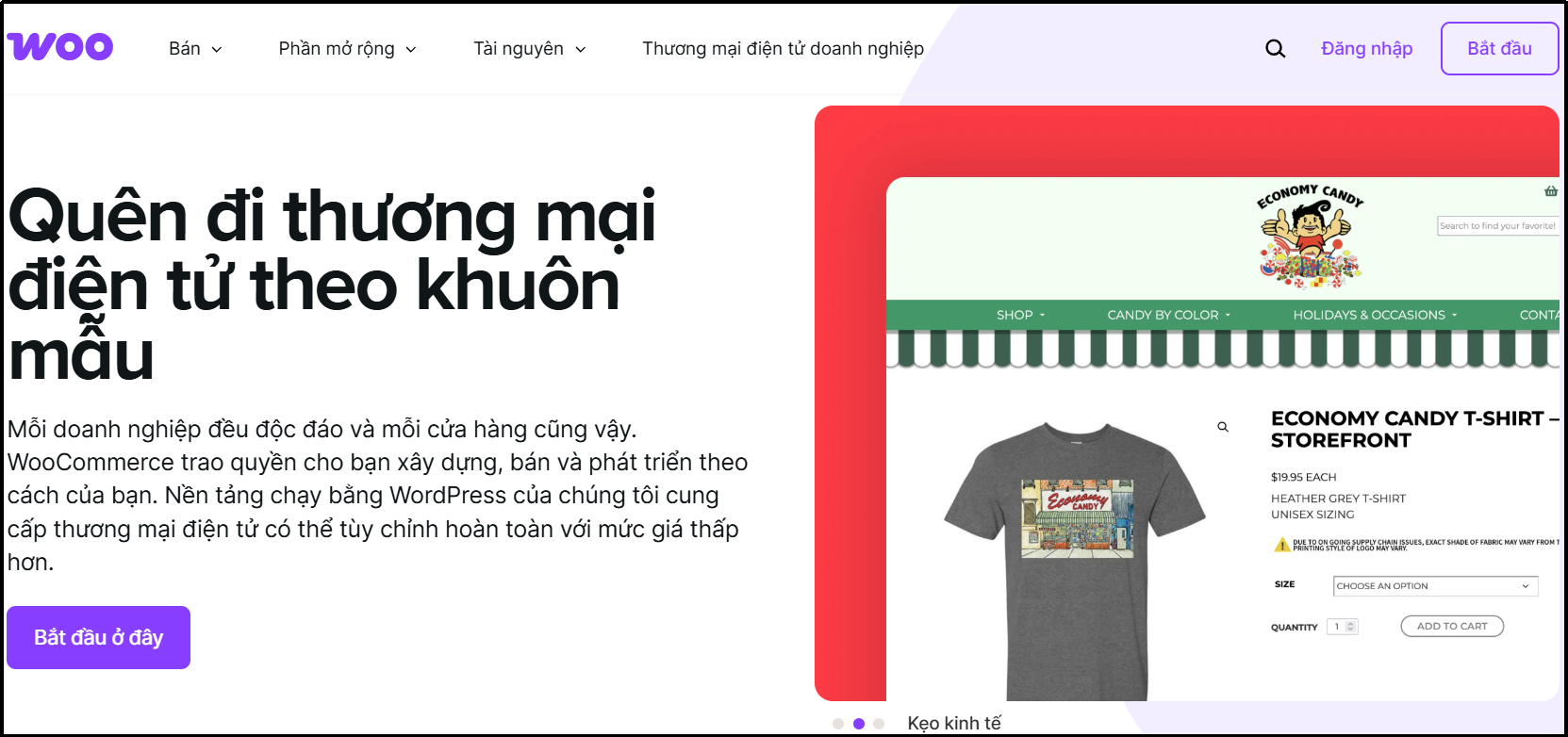 nen-tang-wooCommerce nen tang wooCommerce
