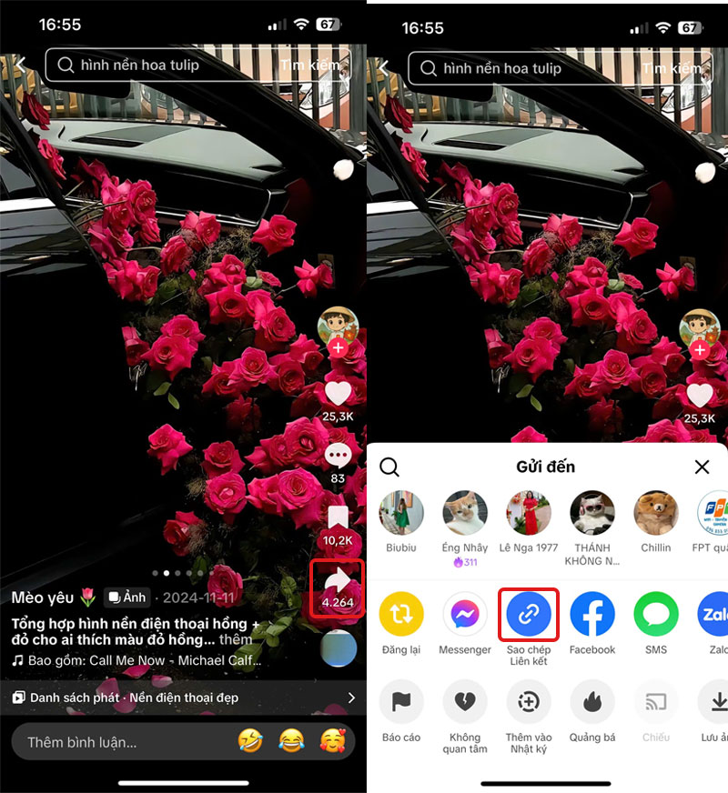 buoc sao chep link anh tiktok