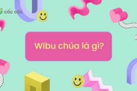 Định nghĩa Wibu chúa là gì? Chi tiết Wibu là gì ở trong các bộ anime? wibu chúa là gì