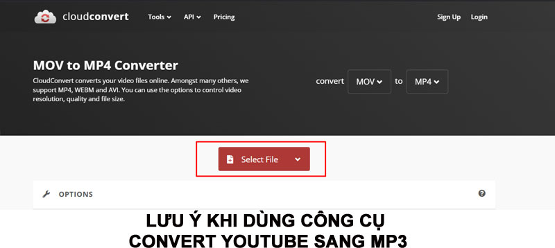 buoc chon file mov can chuyen sang mp