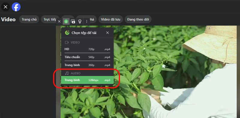 2-cach-download-mp3-free-bang-trinh-duyet-coc-coc cach download mp free bang trinh duyet coc coc