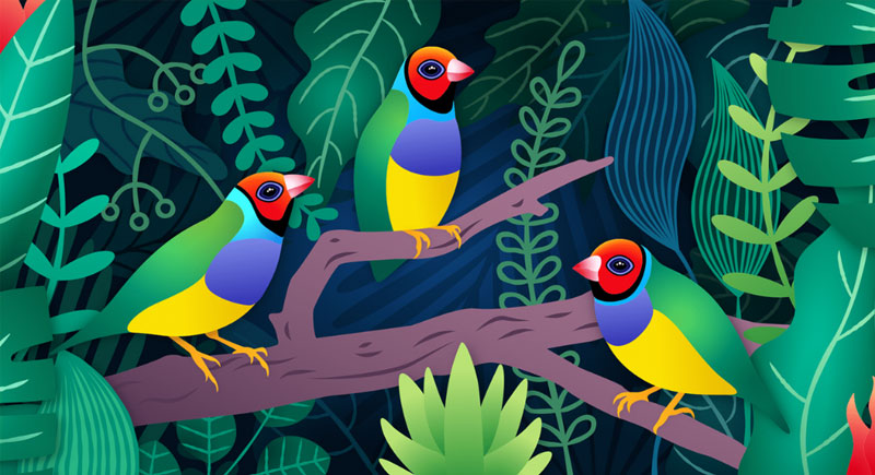 2-tao-va-ve-do-hoa-vector-sac-net tao va ve do hoa vector sac net