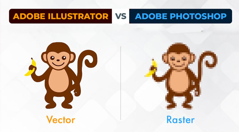 3-ve-ban-chat-va-muc-dich-su-dung ve ban chat va muc dich su dung