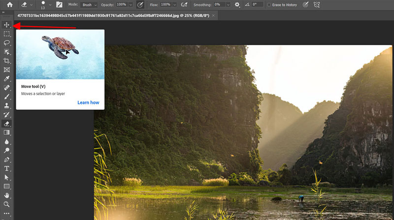 3move-tool move tool