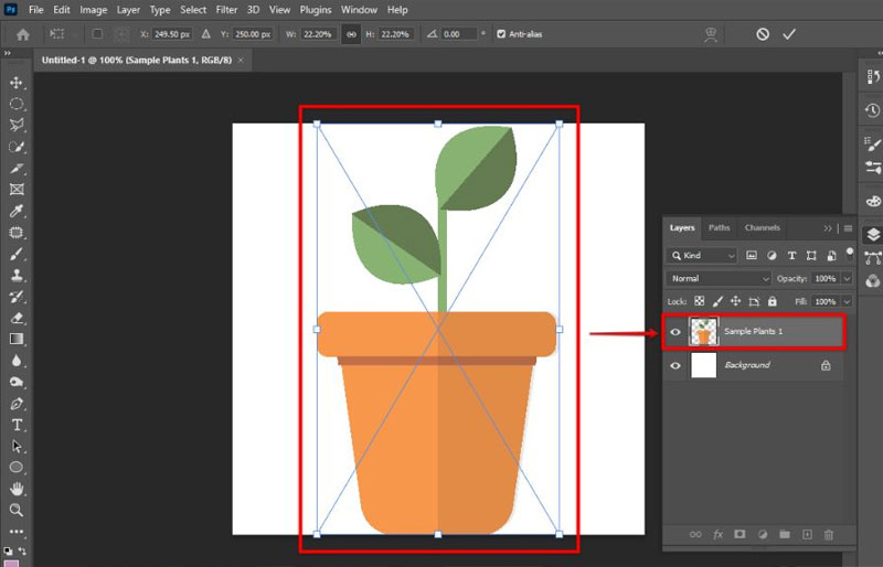 6-Photoshop Photoshop