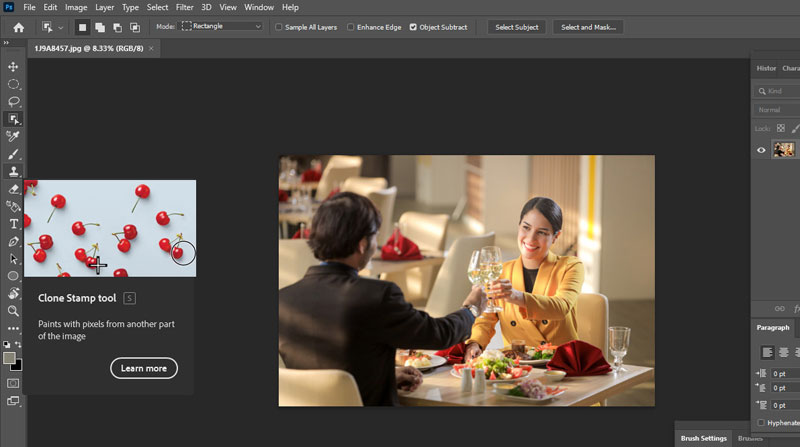 7-clone-stamp-tool clone stamp tool