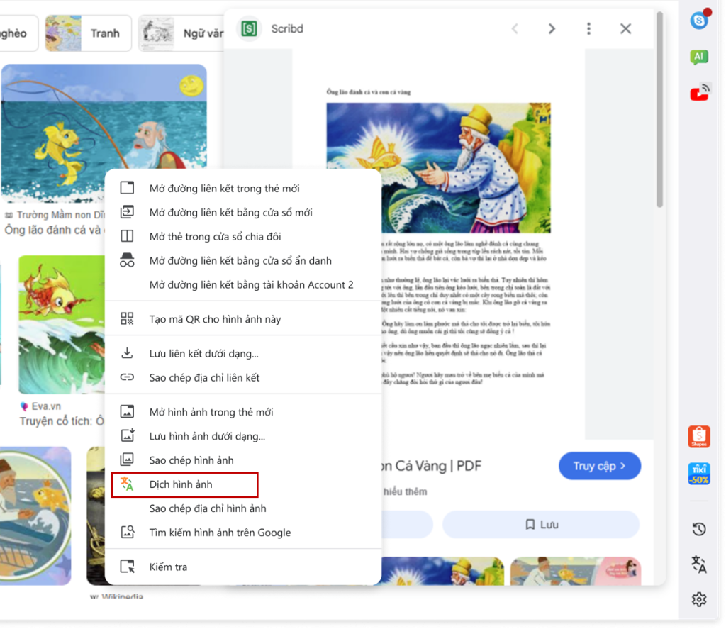 dịch trực tiếp hình ảnh dịch trực tiếp hình ảnh